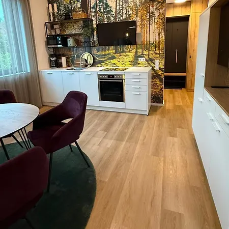 Apartment „kuckucks-nestle“ - Mein Schwarzwaldhaeusle Gmbh *