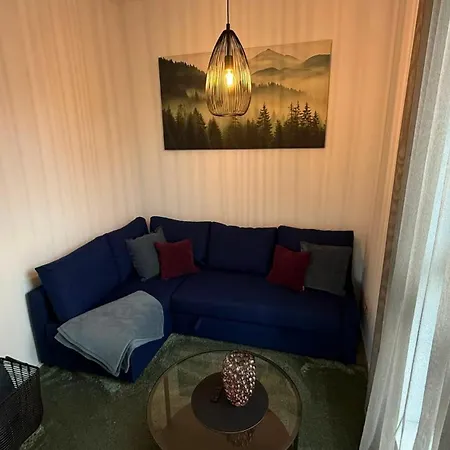 Apartment „kuckucks-nestle“ - Mein Schwarzwaldhaeusle Gmbh Zell am Harmersbach